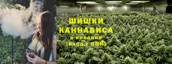твердый Магас