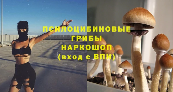 ПСИЛОЦИБИНОВЫЕ ГРИБЫ Алексеевка