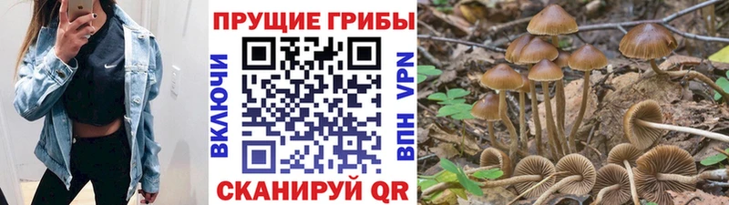 купить наркотики цена Березники Псилоцибиновые грибы Magic Shrooms